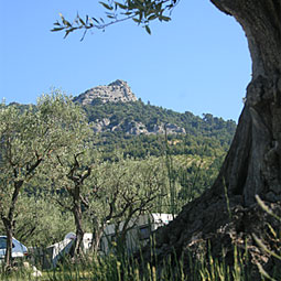 camping provence