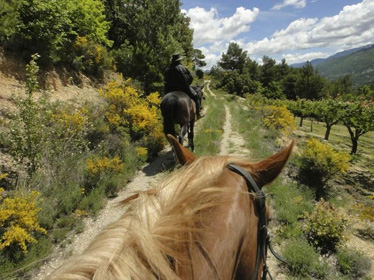 Equestrian hiking